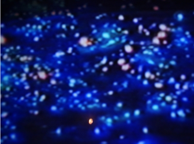 Microcosmos Microcosmos